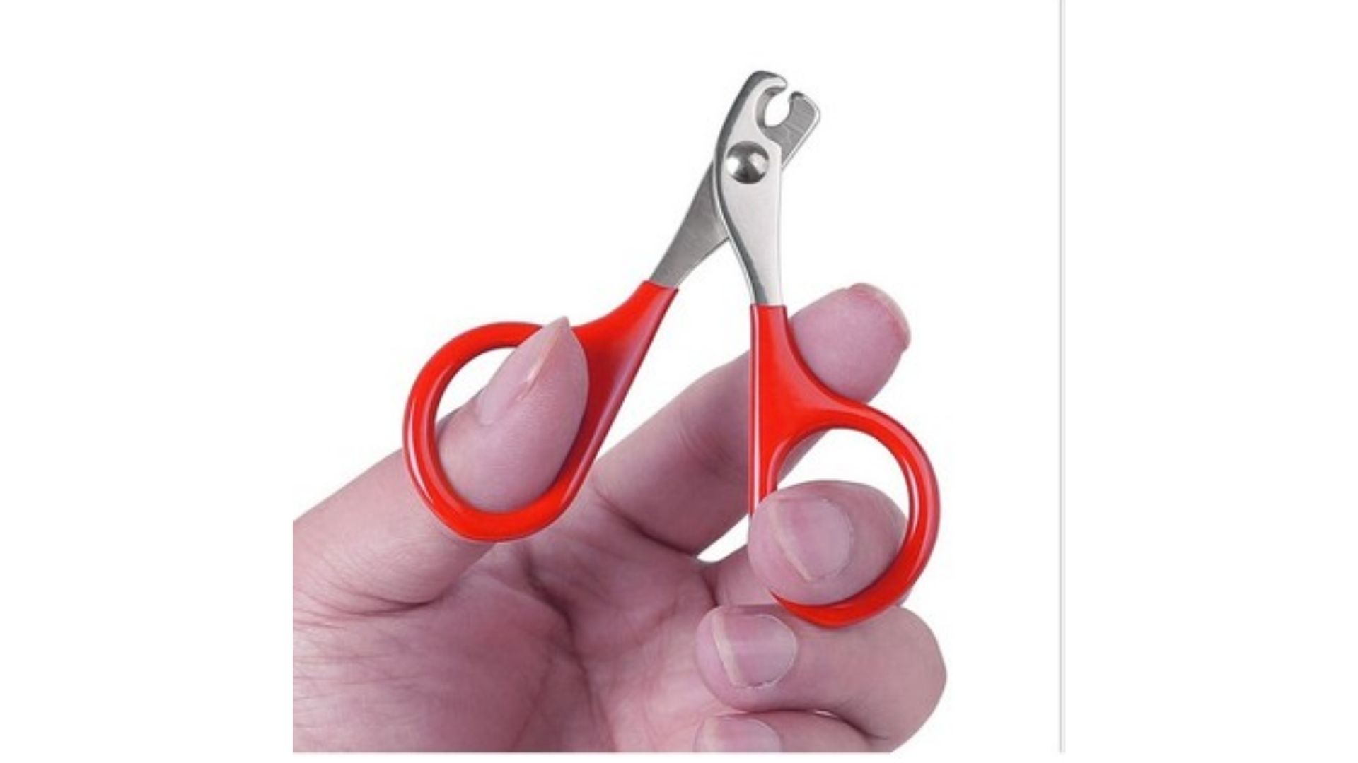 Keluofu 1 Adet Profesyonel Yavru Kedi Tırnak Makası